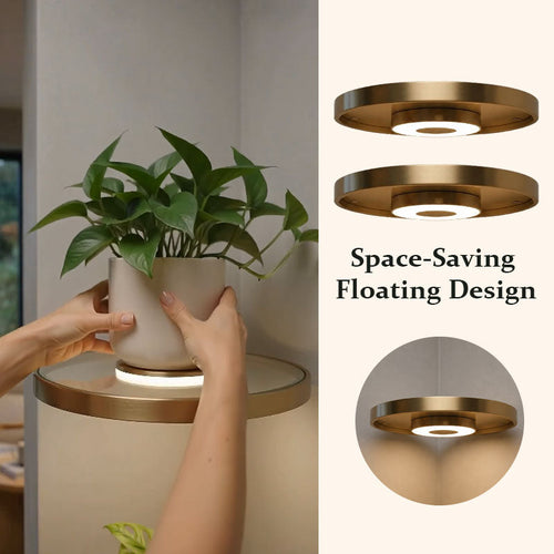 LED Floating Wall Shelf – Modern Plant Display Shelf with Warm Ambient Light💋